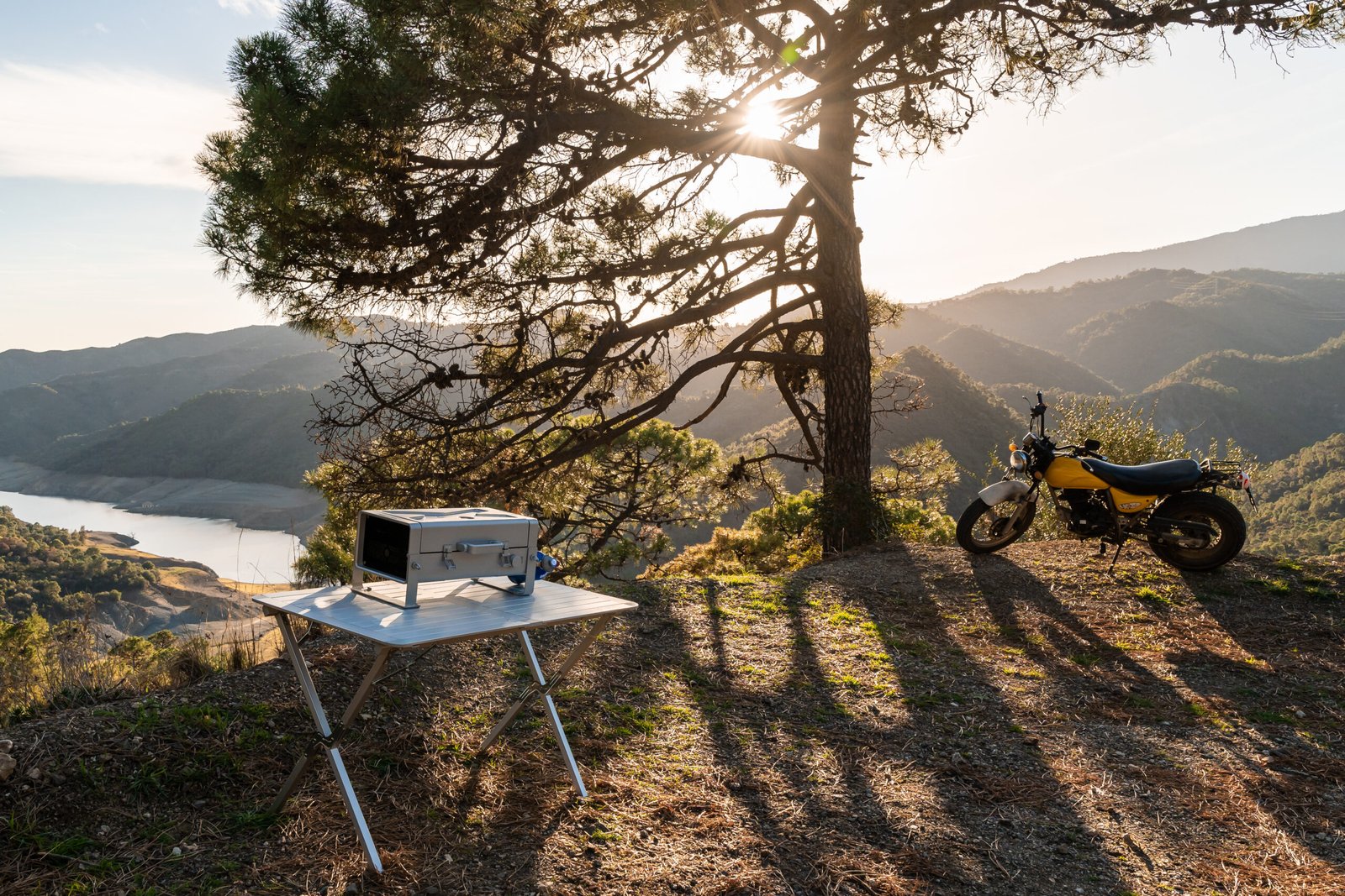 Contenido lujo Estepona contacto